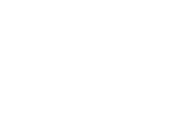light logo